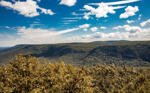 Cloudland Canyon Hike