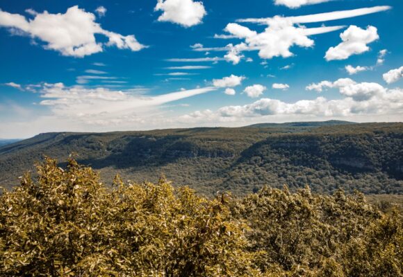 Cloudland Canyon Hike