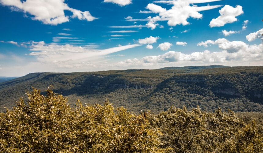 Cloudland Canyon Hike