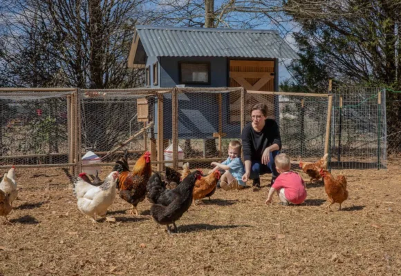 Raising Spring Chickens