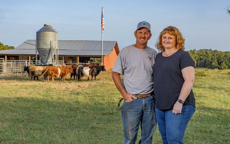 Family Roots Farm: A Tradition of Quality and Community